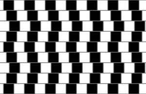 Visual Perception-Lines