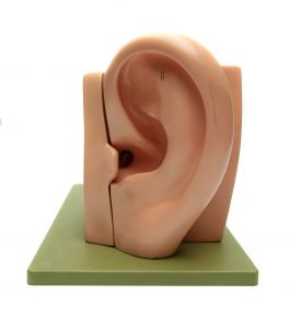 Music Therapy-Ear