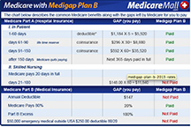 Medigap Plan B chart