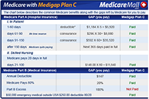 Medigap Plan C chart
