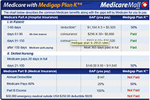 Medigap Plan K chart
