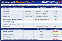 Medigap Plan L chart