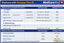 Medigap Plan M chart