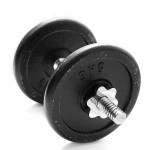 gym weights